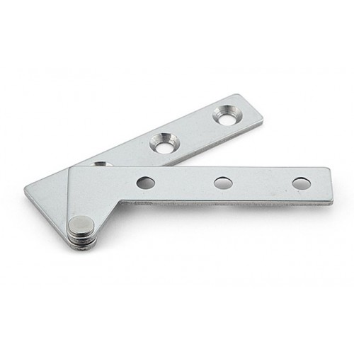 Stainless Steel Inset Door Pivot Hinge